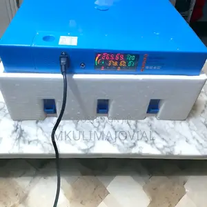 Incubator 64 Eggs Competent Egg Incubator