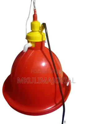 Automatic Plasson Bell Drinkers for Chicken