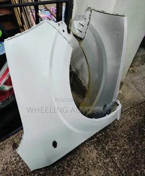 Suzuki Alto 2015 Fenders