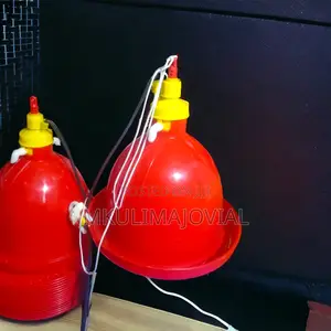 Chicken a Utomatic Bell Drinker Red White Plasson Drinker