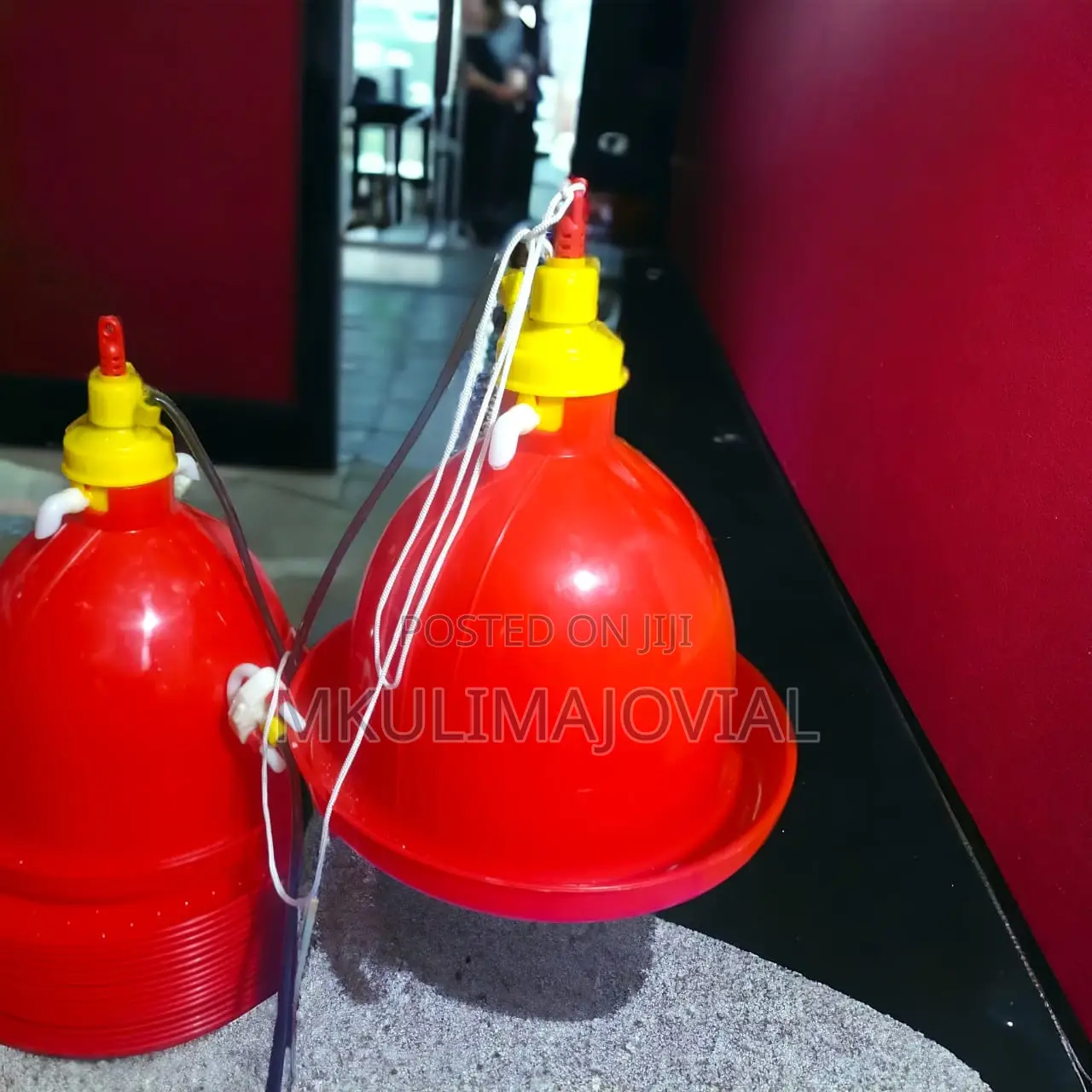 Bell Shape Automatic Poultry Drinker Plasson for Chick