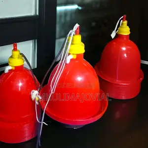 Hot Selling Automatic Poultry Chicken Bell Drinker