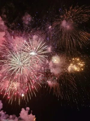 16 Shots Zeta Fireworks