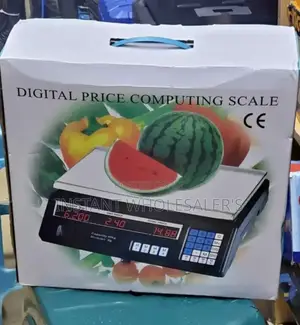 Accurate 30 ACS Price Computing Scale