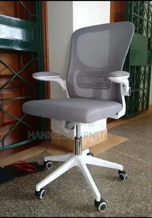 Adjustable Harms Office Chair