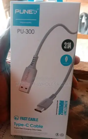 Type C 1.5M Punex Fast Charging Cable
