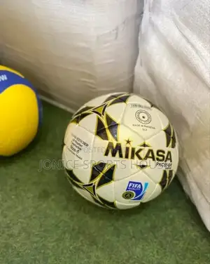 Mikasa All Weather Ball