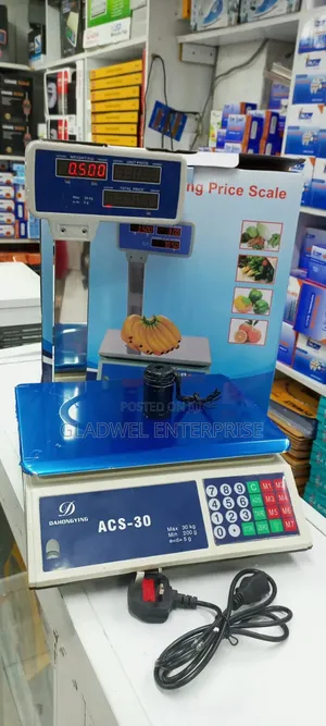 30 Kg Computing Electric Digital Scale