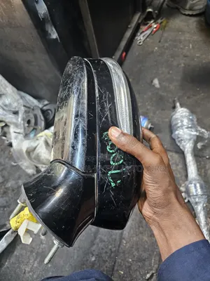 Side Mirror for Crown