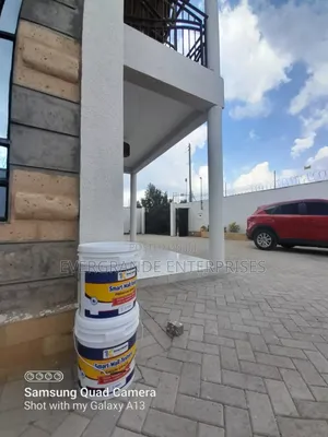 Exterior and Interior Smart Wall Master 30kg
