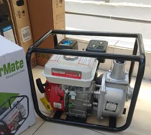 Powermate 2 Inch Gasoline Water Pump 170cc