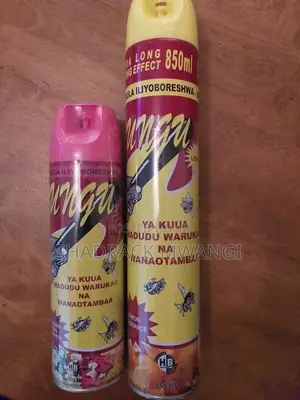 Household Insecticide Spray