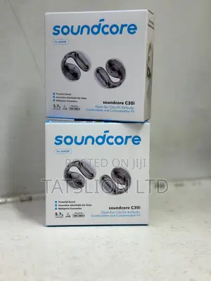 Anker Soundcore C30i