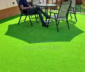 Green Home Compound Wit Beautiful Green Grass Carpet