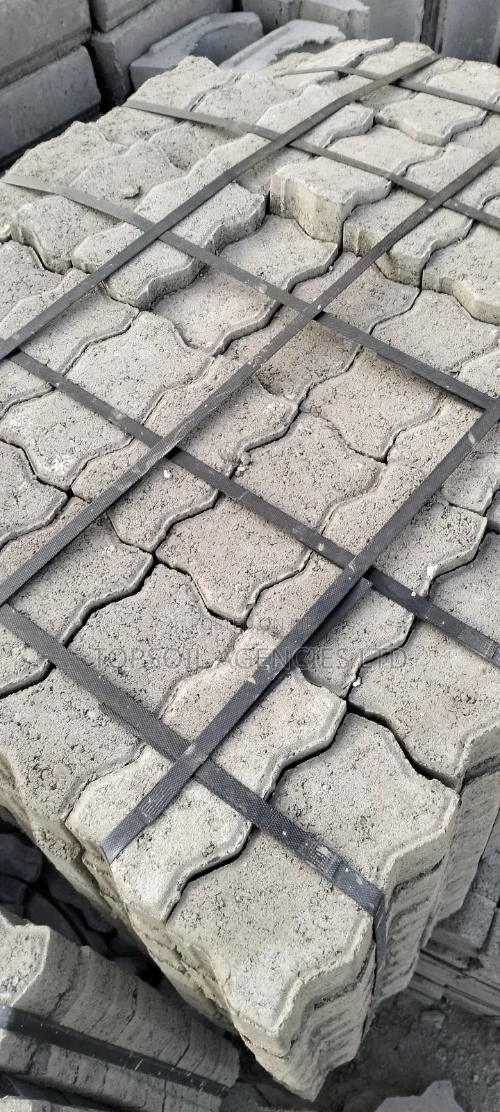 Cabro Paving Cabros
