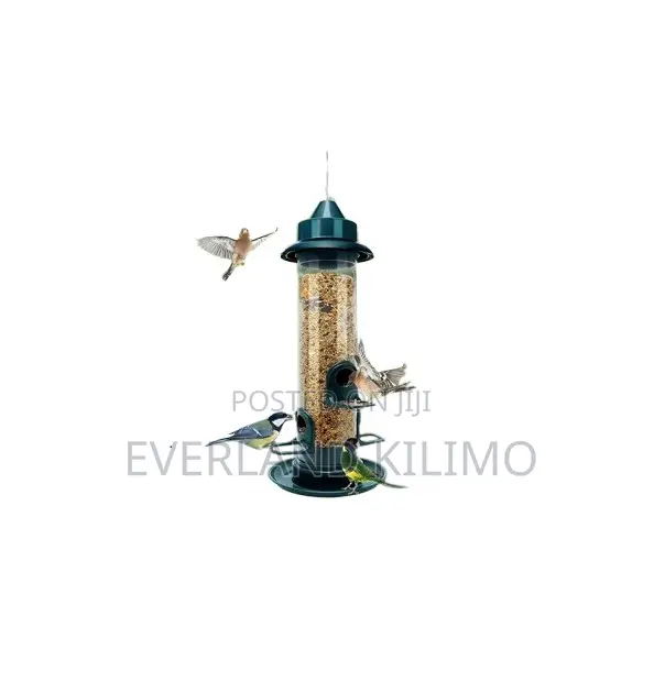 Bird Feeder