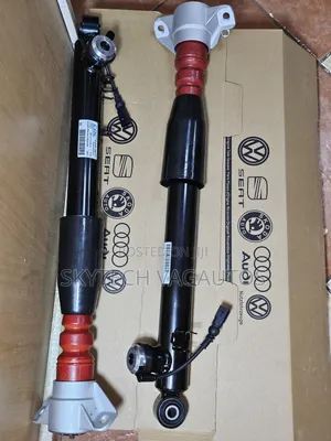 Audi Electric Shocks