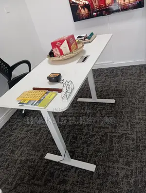 Electric Adjustable Desk