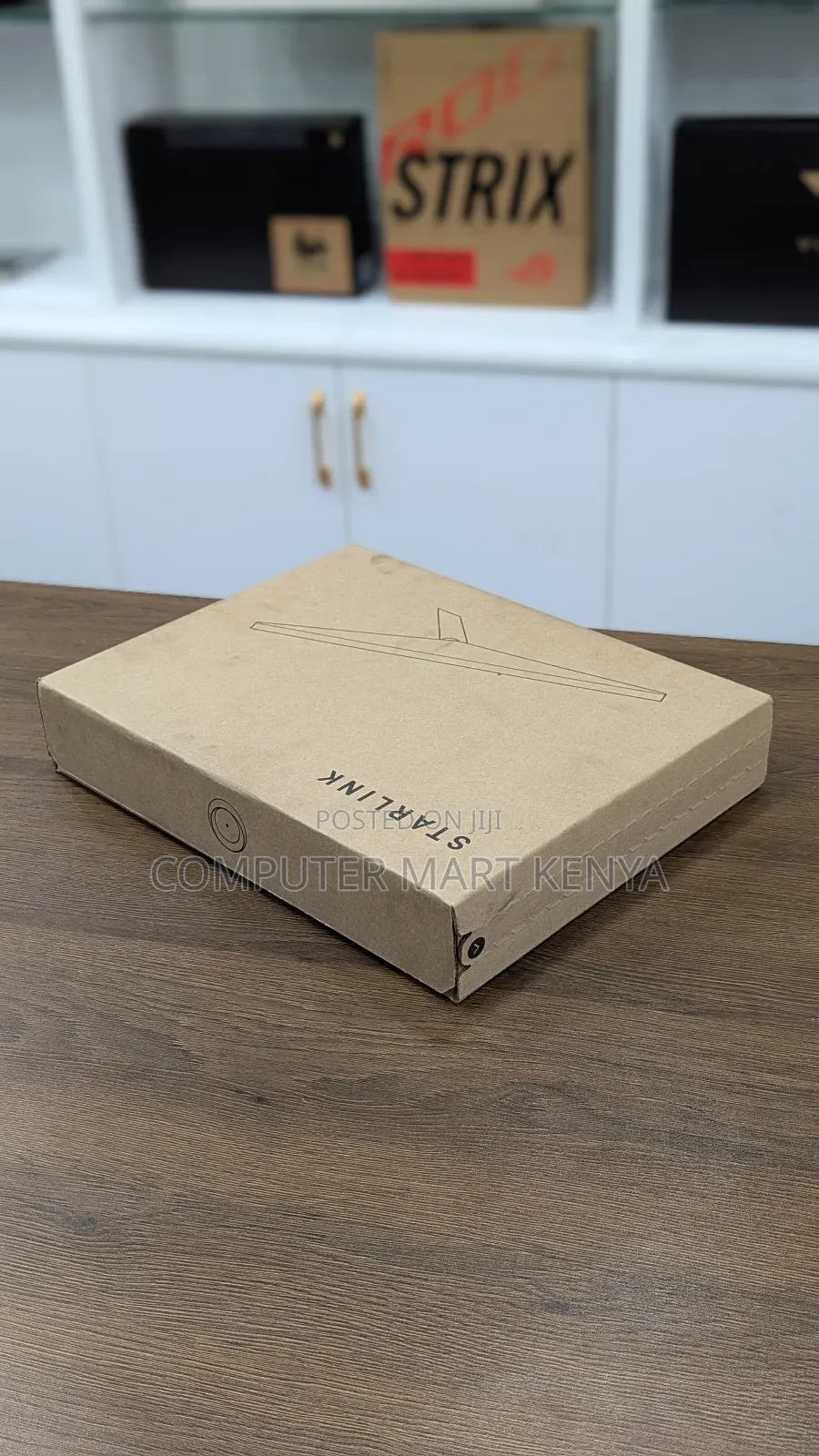Starlink Mini