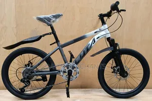 Quality Kids Bicycle Size 20