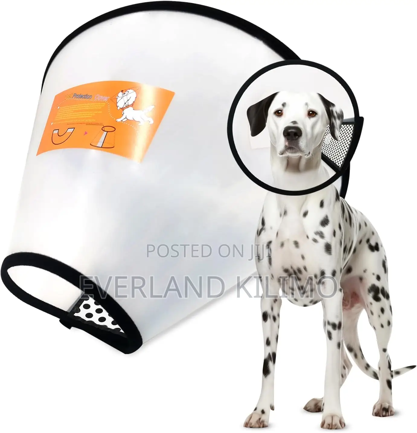 Adjustable Pet Recovery Collar Cone - Large