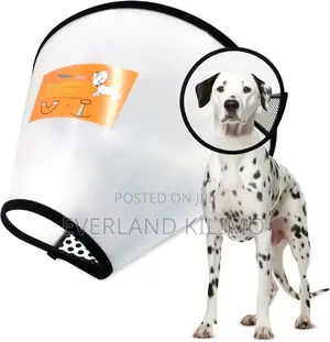 Adjustable Pet Recovery Collar Cone - Large