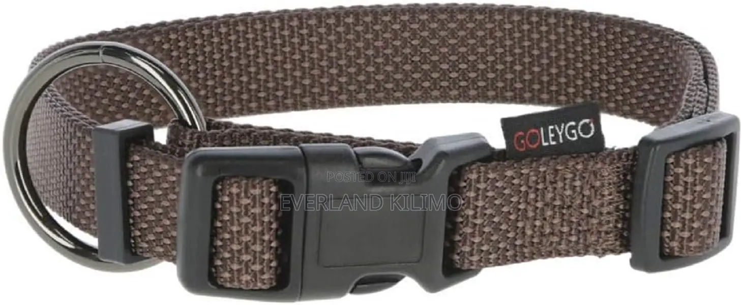 Flat Collar Leash