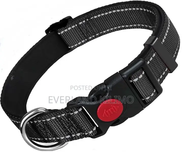 Flat Dog Collar