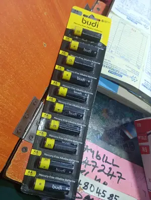Double AA Alkaline Batteries