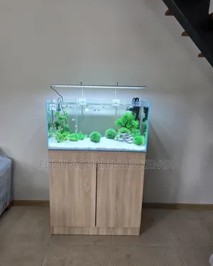 All In One Aquarium System
