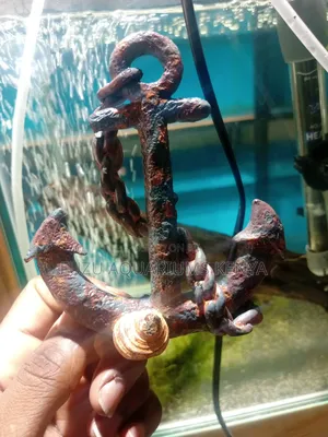 Aquarium Anchor Ornament
