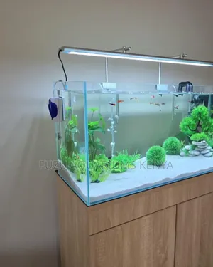 Sleek Modern Aquarium Complete With All Accessories