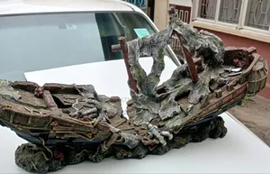 Massive Aquarium Ornament Over 1meter Length