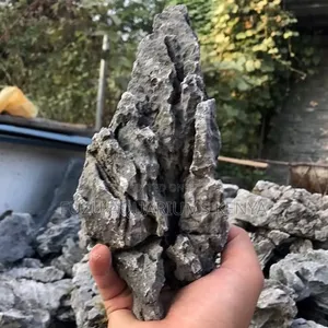 Aquarium Rocks Different Shapes