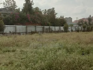 Prime 1/4 Plot in Milimani