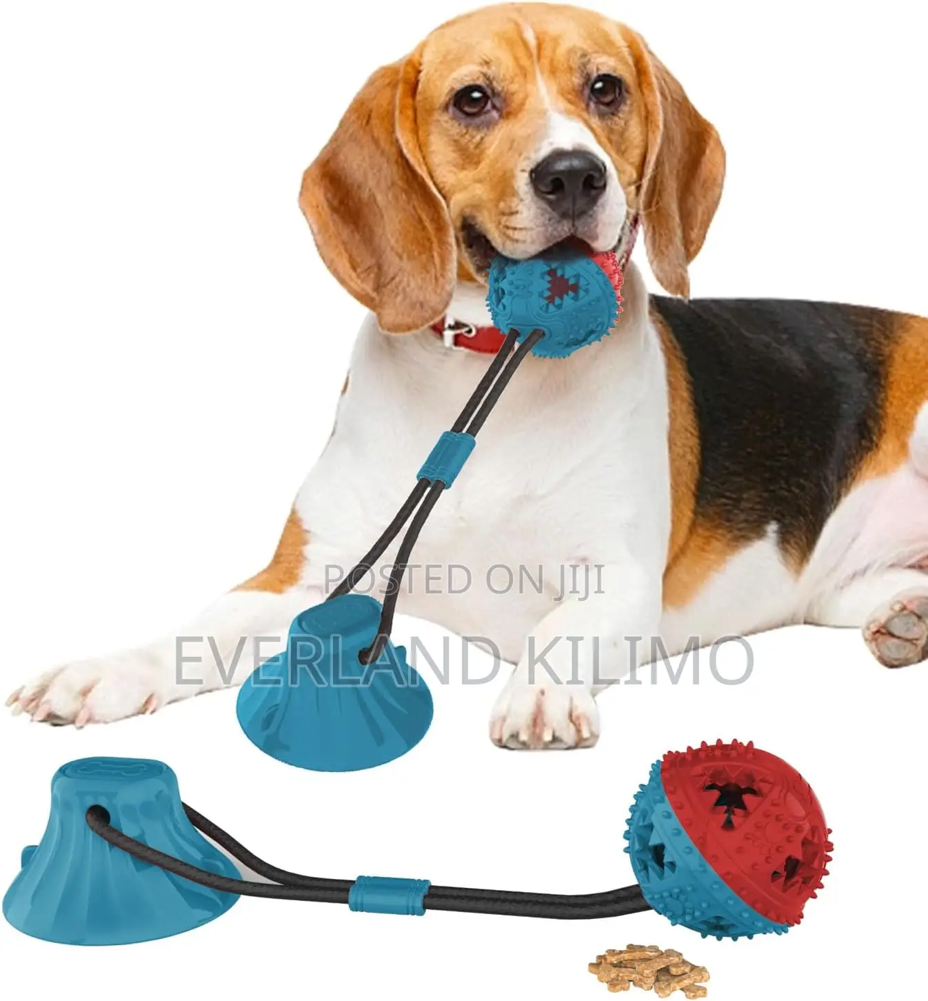 Improved Suction Toy With Treat Ball