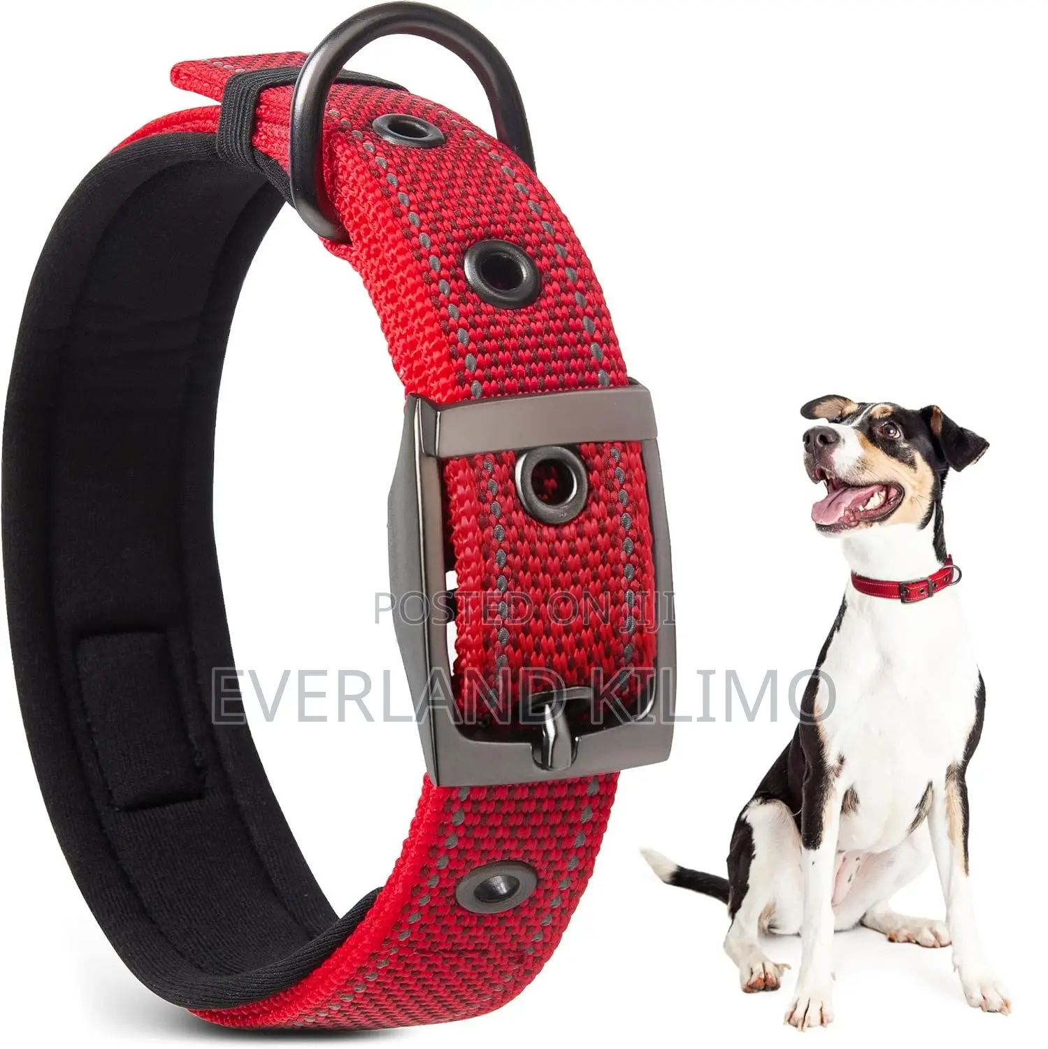 High-End Canvas Collar