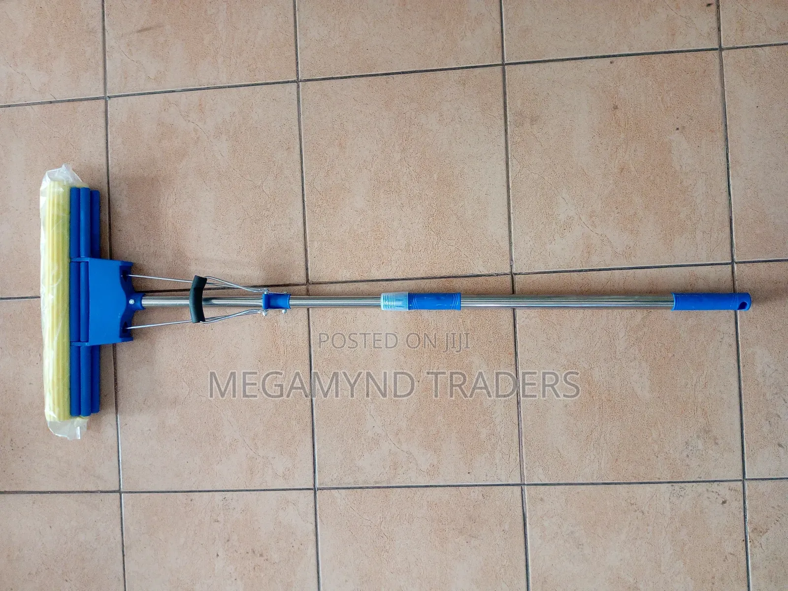 Floors Mop Squeezer/ Window Cleaner Extendable