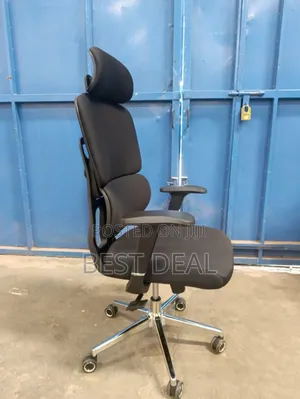 Ergonomic Orthopedic Office Chair