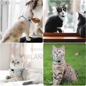 Breakaway Cat Collars