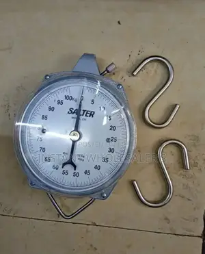 Salter Hanging Scales