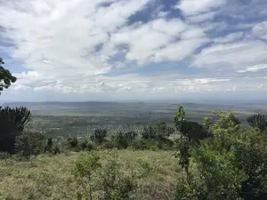 Iconic 1 Acre 1/2 Mua Hill
