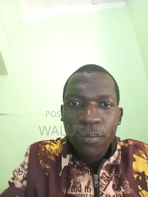 Mr Walusaka Moses