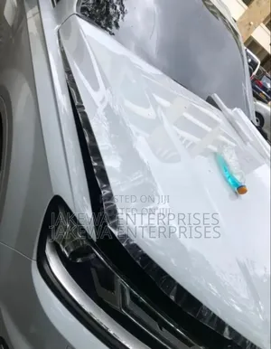 Paint Protection Tint Film Installation Car Paint Protection