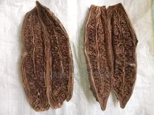 Sausage Tree, Kigelia Africana - Muratina Fruits (5 Pieces)
