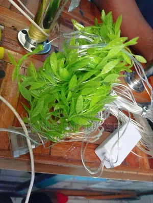 Xmas Leaf Lights 3m by 1m