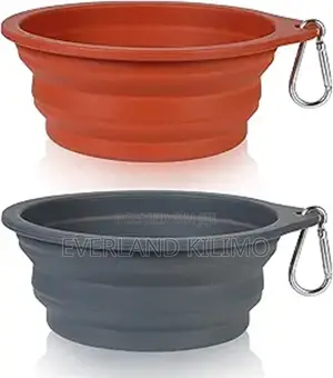 Classy Collapsible Feeding Bowl