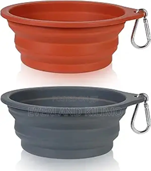 Classy Collapsible Feeding Bowl