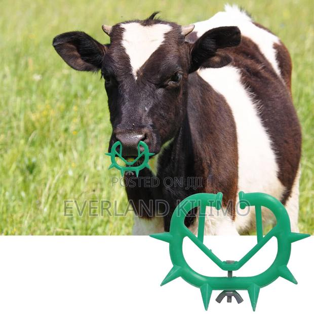 Durable Weaner Suckling Preventor - main view