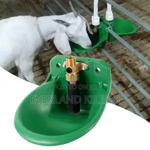 Drinking Bowl for Goats